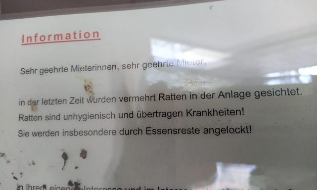 Lenzsiedlung: „Rattenbefall? Keine Ahnung“