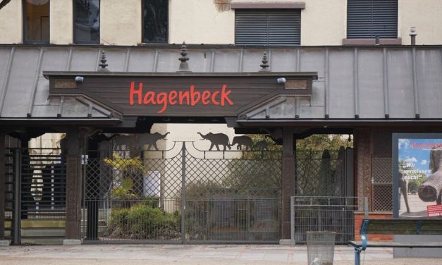 Antrag: Hagenbeck darf nicht sterben