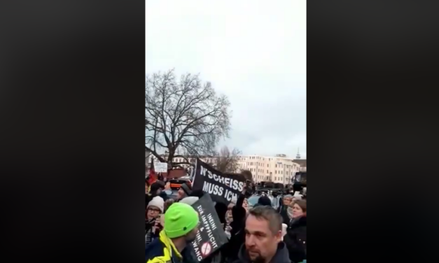 10.000 Bürger demonstrieren gegen die Corona-Maßnahmen in Hamburg / Schömer: „Wir werden uns nicht davon abhalten lassen auch weiterhin unsere Grundrechte zu verteidigen“
