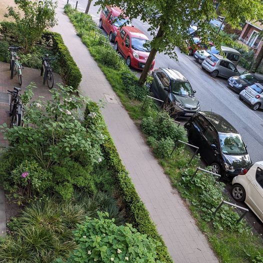 Fahrradständer als Rankhilfe und wieder weniger Parkplätze